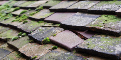 Fishponds roof repair costs